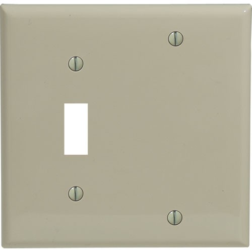 2-gang Toggle & Blank Wallplate, Standard