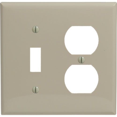 2-gang Toggle & Duplex Wallplate, Standard