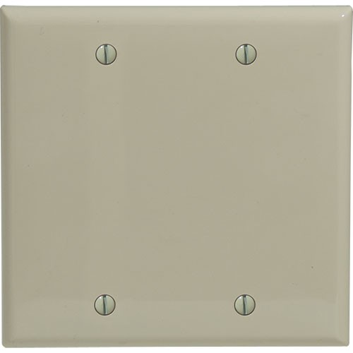 2-gang Blank Wallplate, Standard