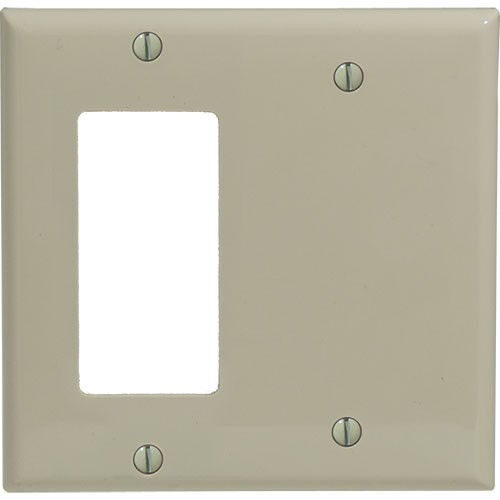 2-gang Decorator & Blank Wallplate, Standard