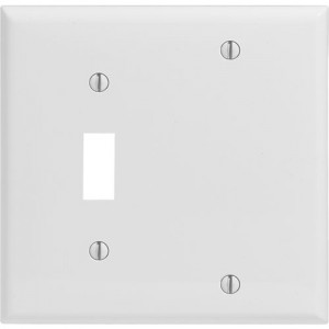 2-gang Toggle & Blank Wallplate, Standard