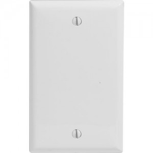 1-gang Blank Wallplate, Standard
