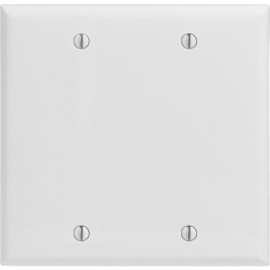 2-gang Blank Wallplate, Standard