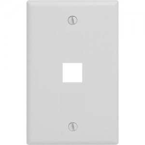 1-gang 1 port Wallplate, Standard