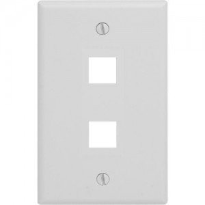 1-gang 2 port Wallplate, Standard