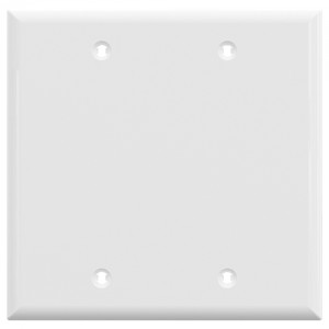 2-gang Blank Wallplate, Mid-Size